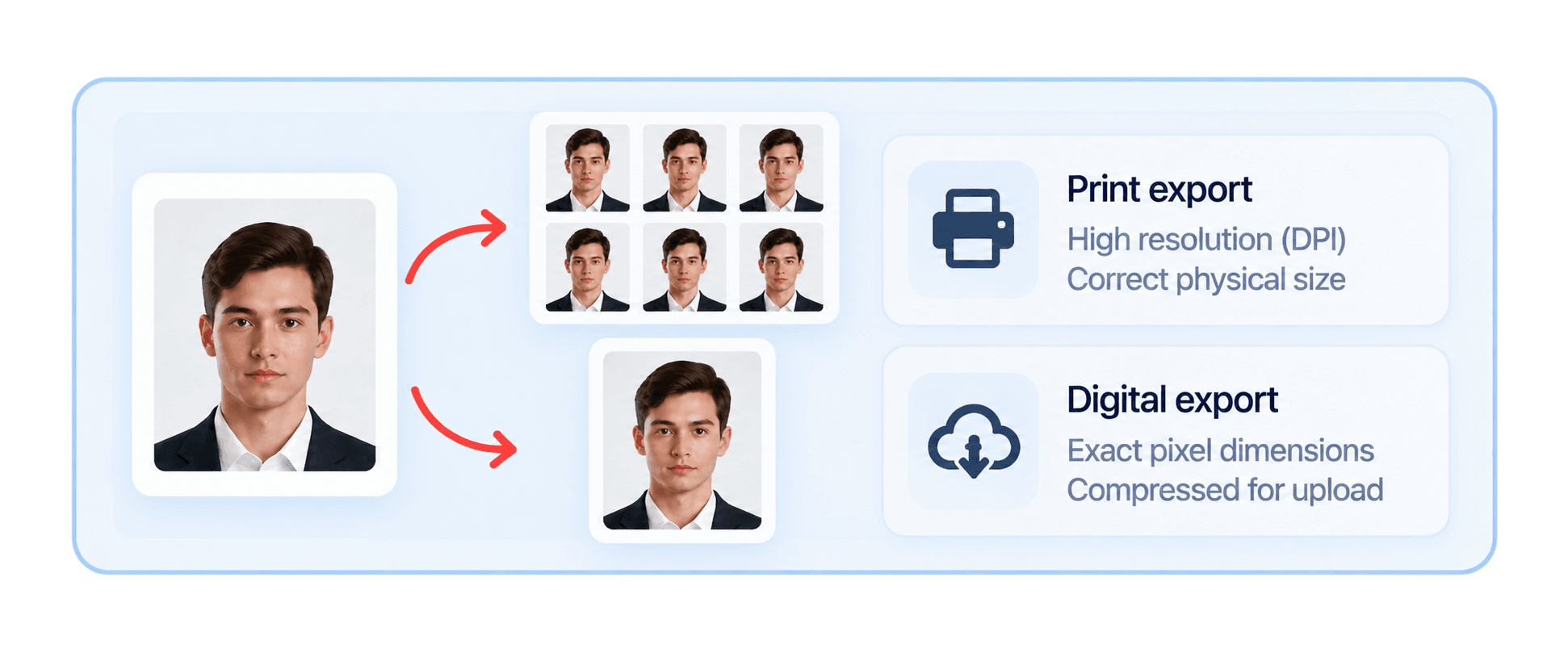 Print sheet and digital export options from a passport photo